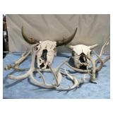 Weathered Antlers & Skulls (Yard Art)