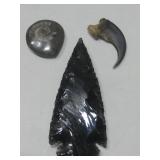 Obsidian Arrowhead, Claw, Polished Ammonite