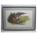Signed Numbered Balke Red Fox Print 702/1000