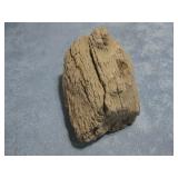 1 1/2 Pound Petrified Wood Specimen