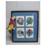 Framed Parrot Frame & Mazatlan Plush See Info