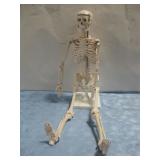 Mini Skeleton Medical Style Model