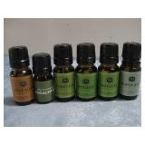 Six P&J Premium Fragerance Oils Forest Pine & More