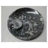 Ammonite Fossil Dish 5.5'