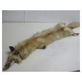 Fox Pelt 49'