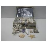 Large Candy Tin Box W/Various Sea Shells