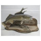 Vtg Taxidermy Mounted Walleye Fish 30' x 10'