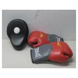 Everlast Boxing Gloves & Revgear Punching Glove