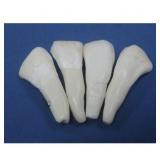 Four Buffalo Ivory