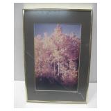Vtg Framed & Signed Santa Fe Fall Portrait See
