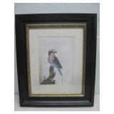Framed Bird Print By David Cubbin 15' x 19'