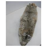 Bob Cat Pelt 39' .