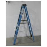 Werner 6' Ladder