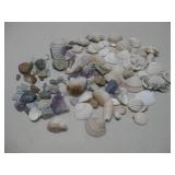 Various Seashells & Crystals
