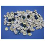 Assorted Cowrie Shells & Marbles