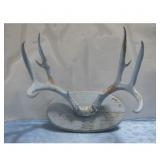 Rustic Chic Antler Wall Mount 18'