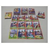 Pokemon Pokedex EF Cards Peru Flash Edition