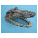 Taxidermied Alligator Head