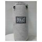 Kid Size Everlast Heavy Bag See Info