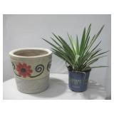 Handpainted Terracotta Planter Pot W/Plant See