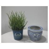 Blue & White Porcelain Planter Plot W/Plant See
