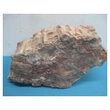 Petrified Wood Specimen 12'