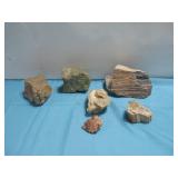 Assorted Geological Specimen Petrified Wood See