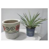 Handpainted Terracotta Planter Pot W/Plant See