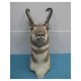 Taxidermy Mounted Antelope Head Observed Wear