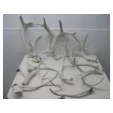 Assorted Weathered Deer Antlers See Info