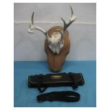 Mounted Deer Antlers W/Skull Plate See Info