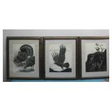 (3) Framed Michael Allender Wildlife Prints See