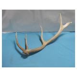 Antler 27' See Info