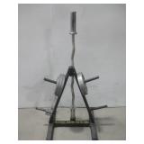 Gold's Gym Weight Stand W/Olympic Curl Bar See