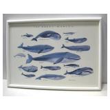 The Great Whales Fine Art Framed Poster See Info