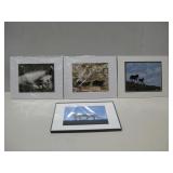 Four Matted  Horse Photo Prints Three Are Signed
