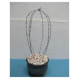 Yard Art Barb Wire Cactus 17.5' Tall