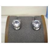 Silvertone Fashion Earrings