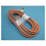 Ridgid 12 Gauge 25' Extension Cord