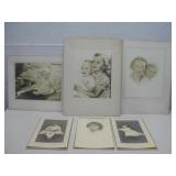 Six Vtg Photographs See Info