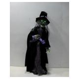 Animated Halloween Witch Works