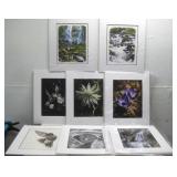 (10) Framed Photographic Prints 16' x 19'