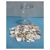 Assorted Seashells In Glass Jar 8.5' Tall