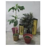 Two Artificial Plants & Four Plastic Planters See