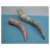 Two Vtg Steer Horns Largest 18.5' Long See Info