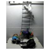 Halloween Ladder Decor W/ Assorted Characters See