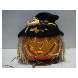 Color Changing Pumpkin Head See Info