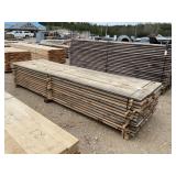 White Pine