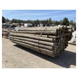 Cedar Posts