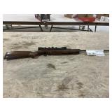 Pellet Gun